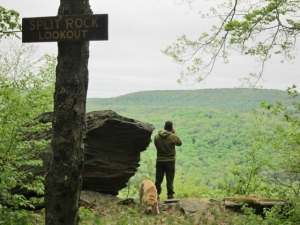 Split Rock view with mand and dog