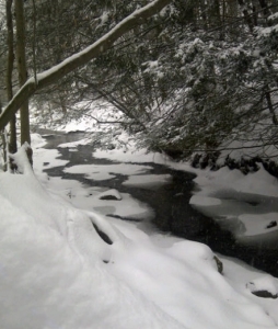 Parksville meandering stream