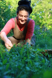 Dina in plants 6_1_13