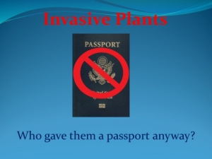 Invasive Plant Passport image