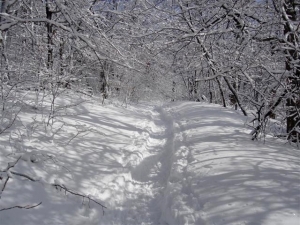 SLide Mt in Winter laurie Rankin