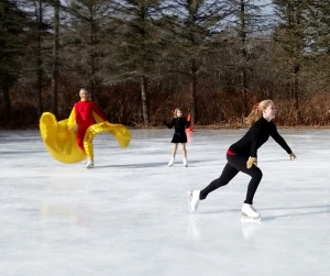 Skaters in motion Ice Carnival 2016 cropped